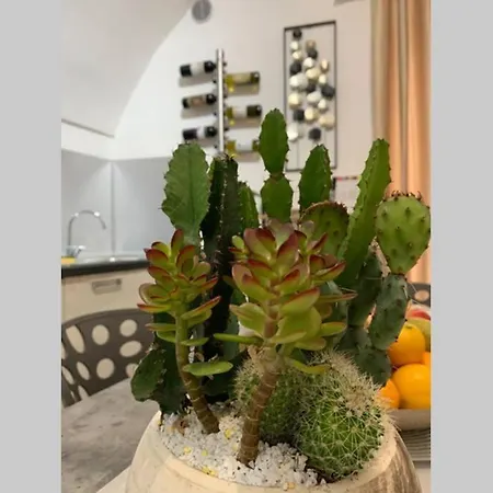 公寓 Le Bijou Di Dolceacqua, Per Un Momento Memorabile.