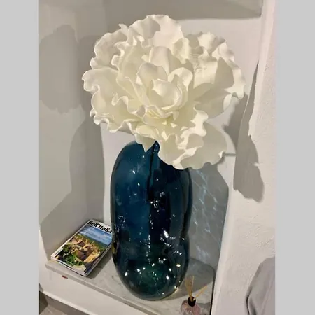 Le Bijou Di Dolceacqua, Per Un Momento Memorabile. * 多尔切阿夸