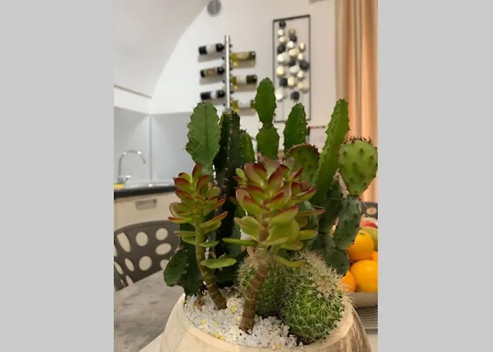 Apartamento Le Bijou Di Dolceacqua, Per Un Momento Memorabile.